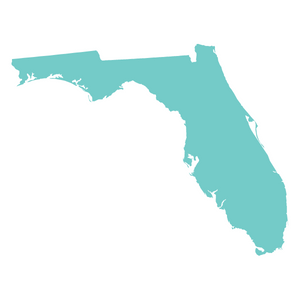 State of Florida outline